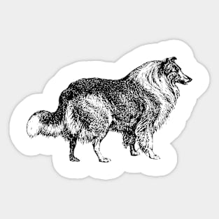 Wolf breed labrador Sticker